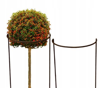  Support for bushes plants flower roses pergola 30/50cm single-seater semicircular