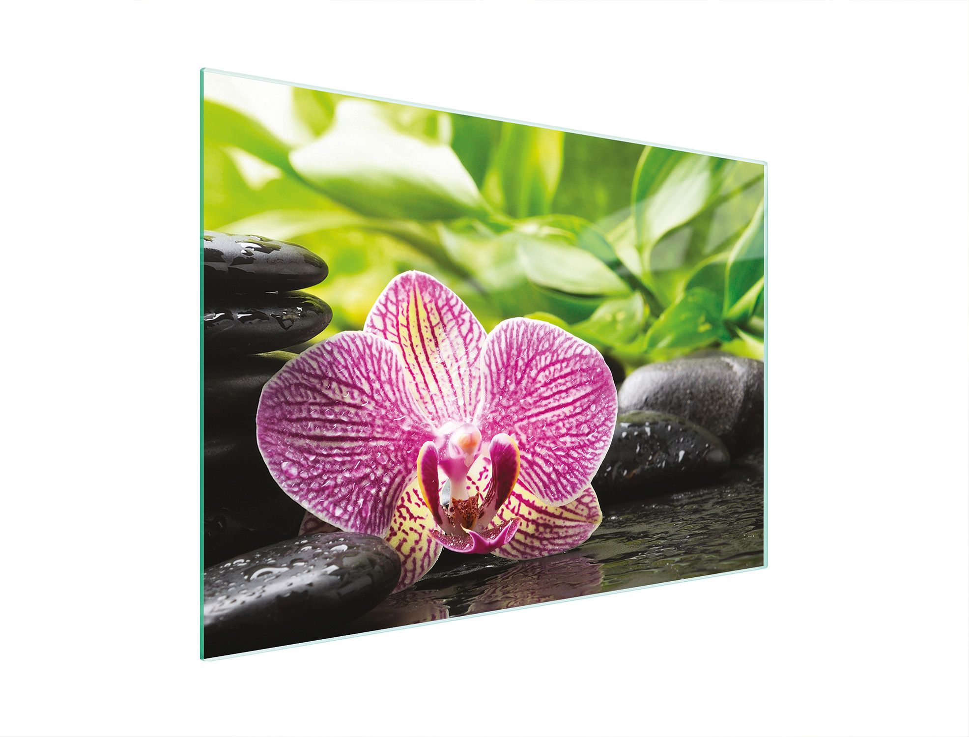  Stiklas pjaustymo lentelė 52x30 orchidėja grūdintas stiklas
