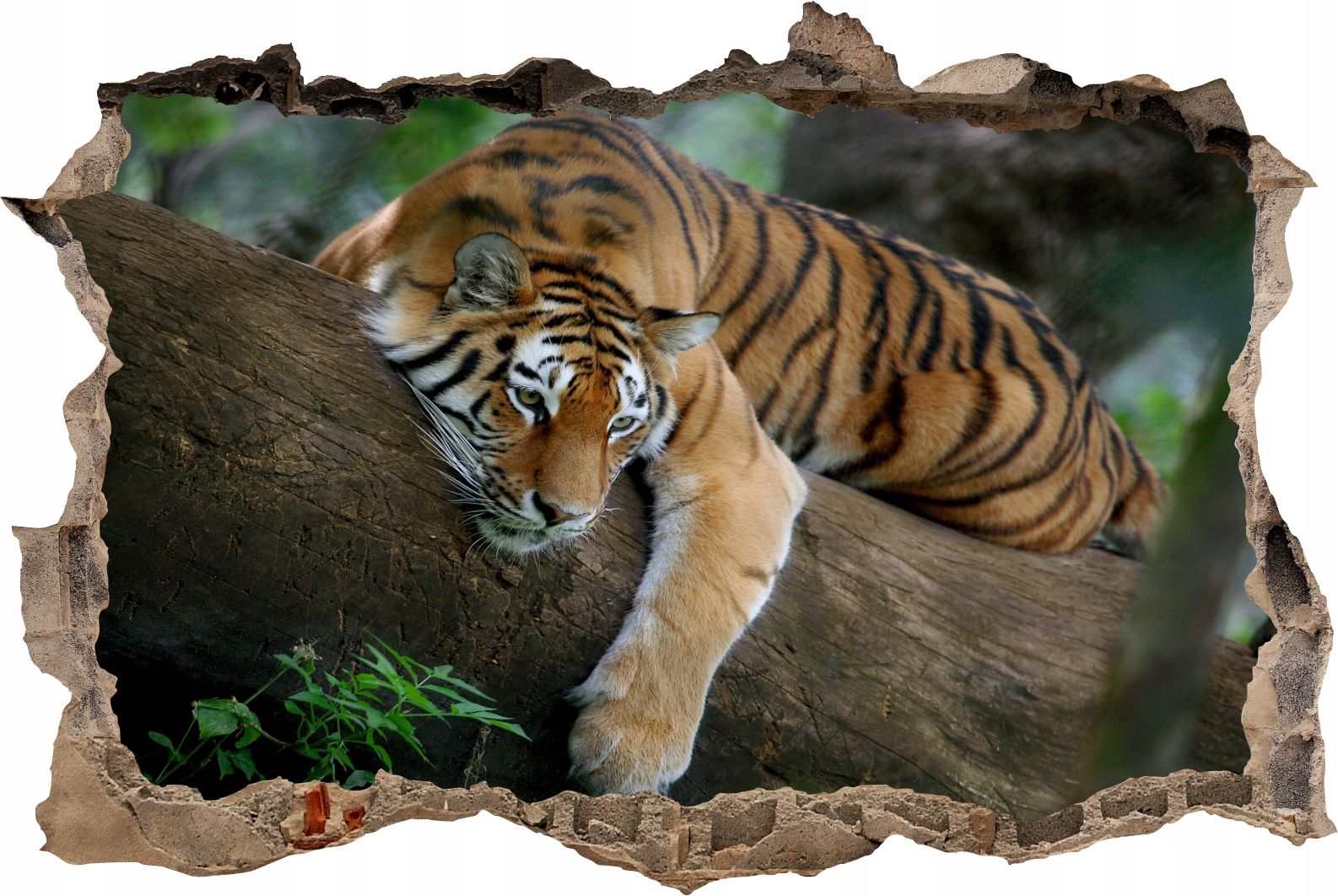  Fototapeedid auk 3d seinakleebis wodospady potok mets loodus
