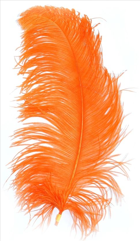  Federn strauß größe licht preis für 1sz 50cm federkiel feder 9446