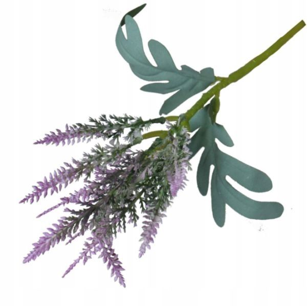  Rukola šakelė puošni į bukietu tanki žolė violet