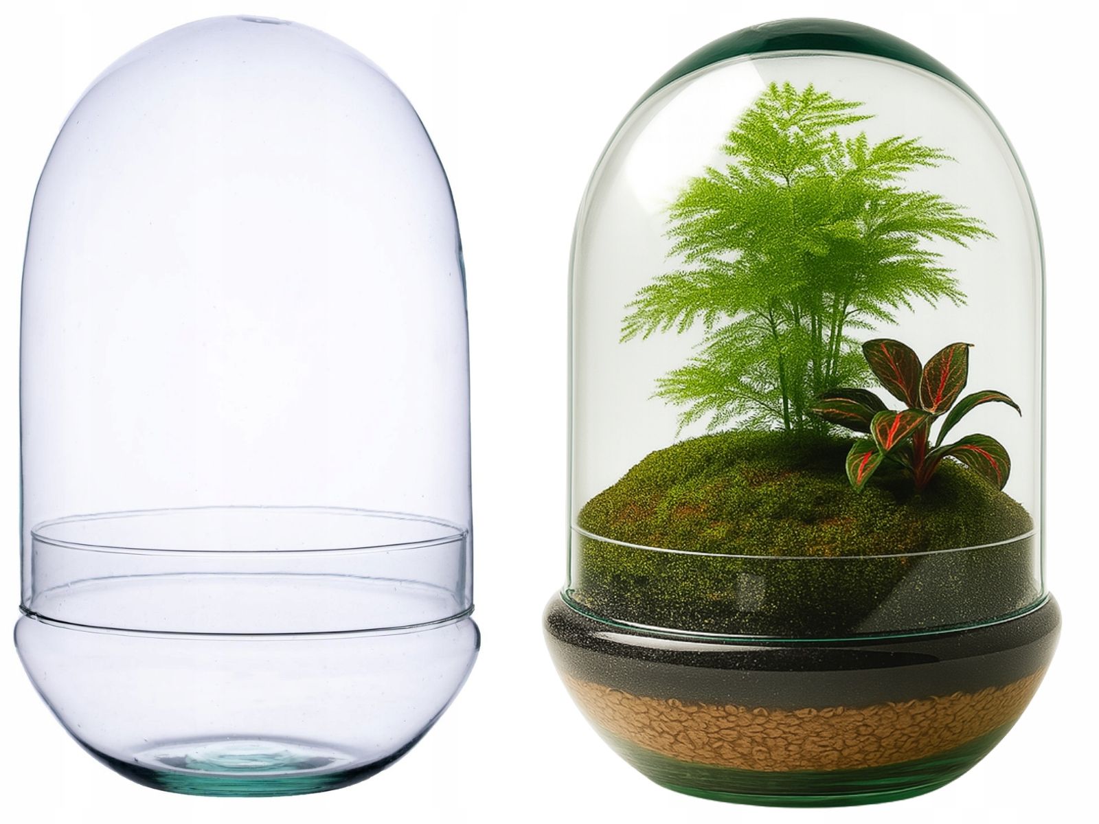  Moss chrobotek light green to the forest in a glass jar in glass decoration 10g