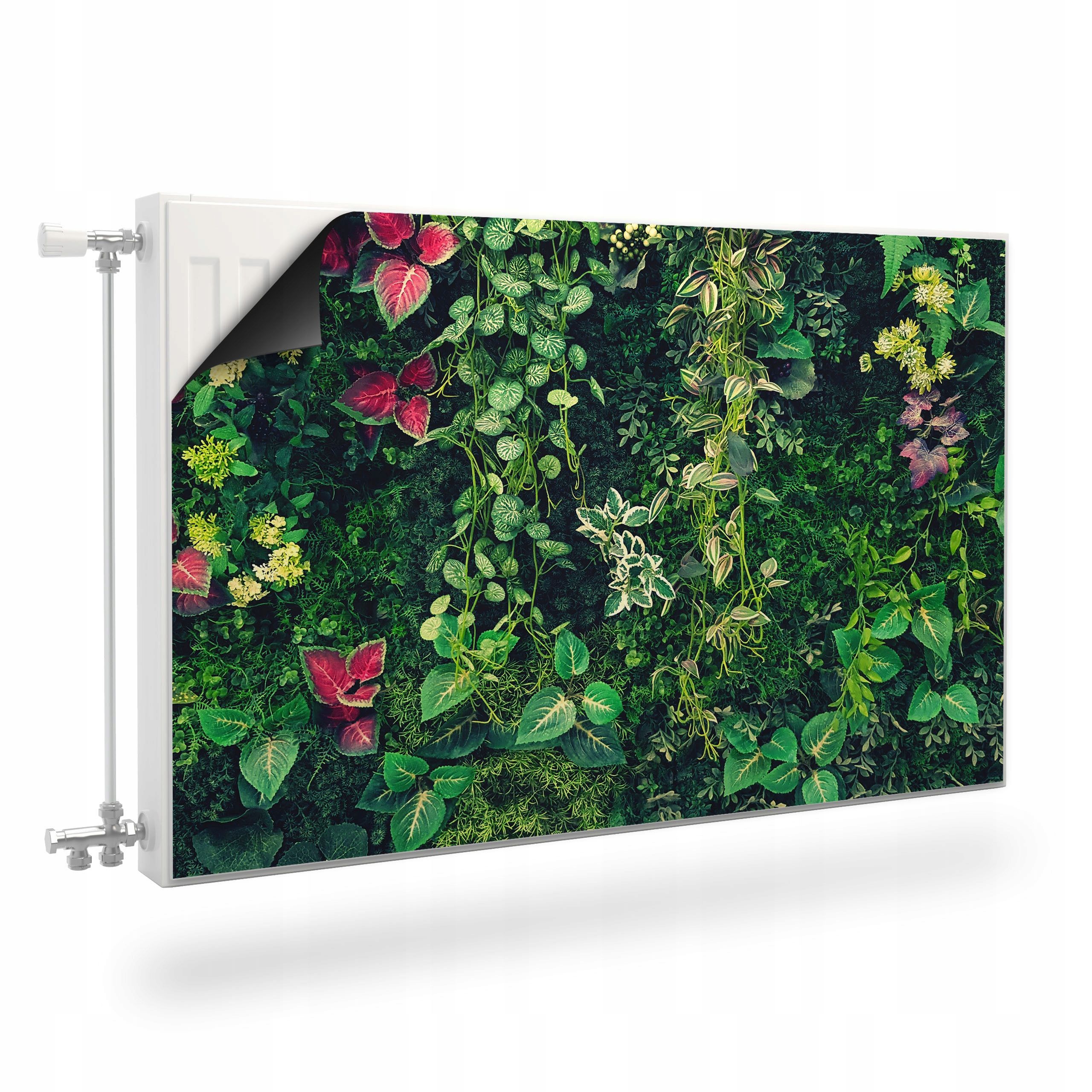  Aizsardzība magnētisko banānu lapas palma 80x60