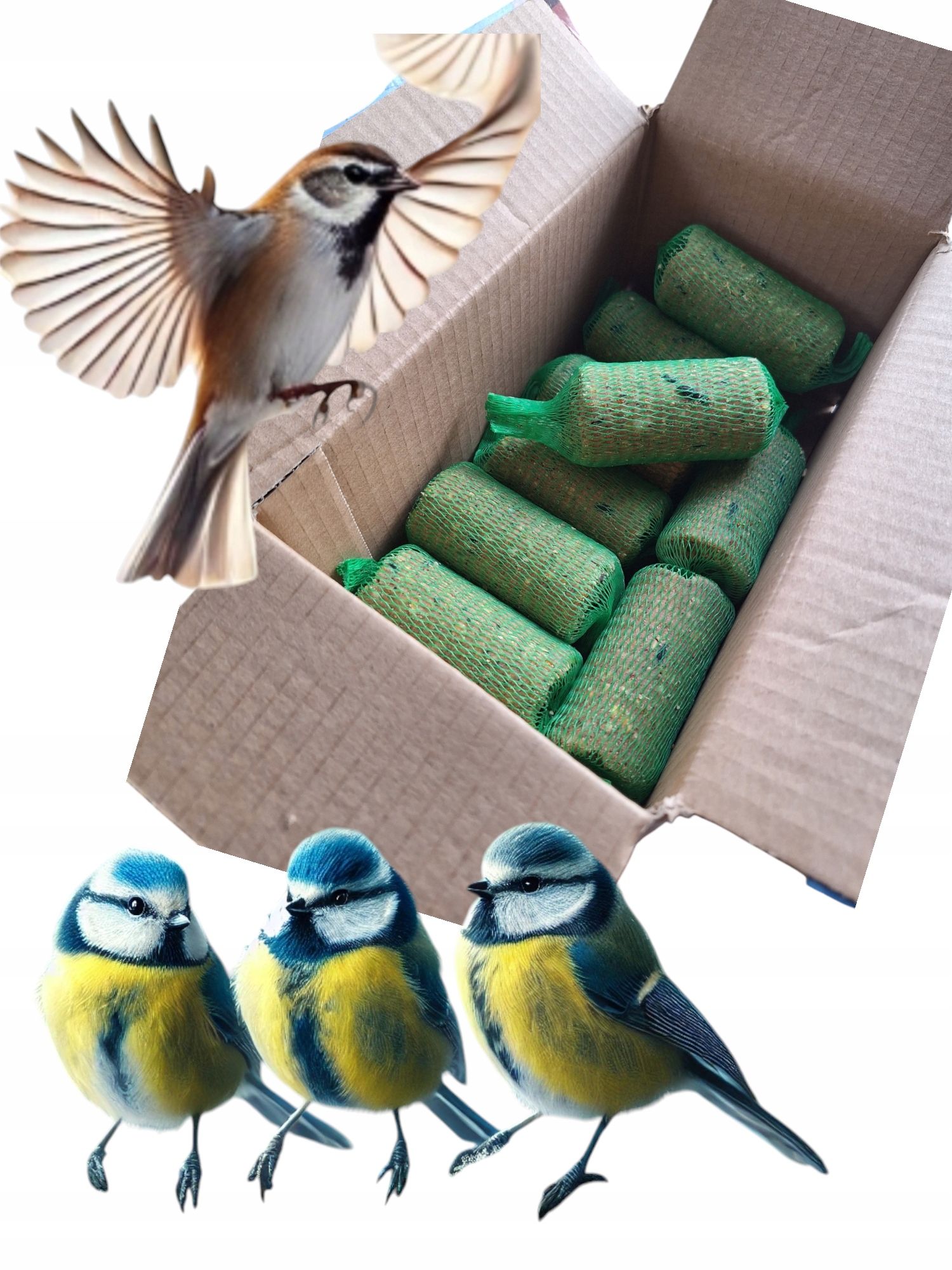  Fettkügelchen 50x flaschen sonnenblume für den feeder für titten wild vogel