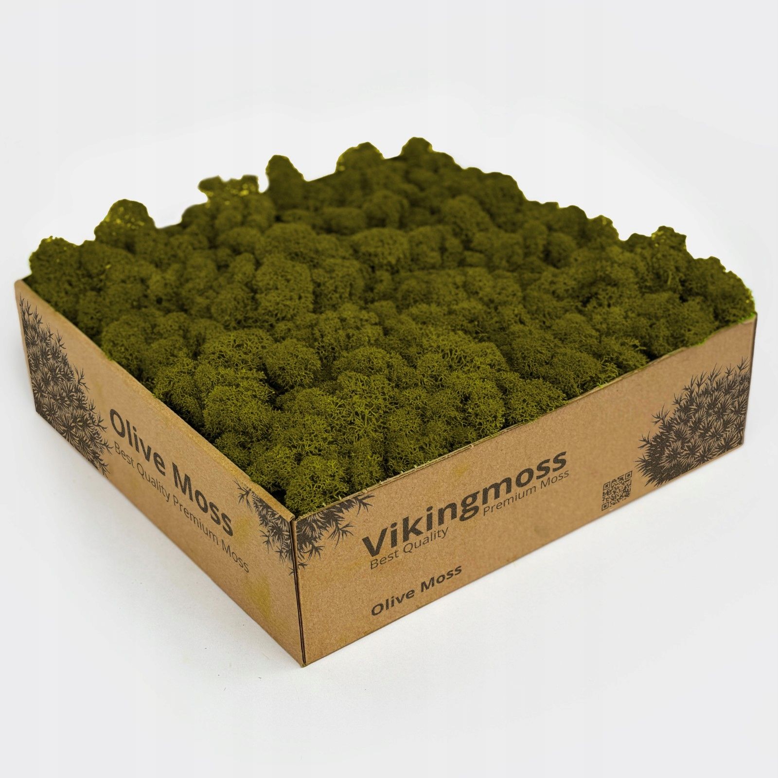  Izaugsmi chrobotek premium vikingmoss medium green 200g