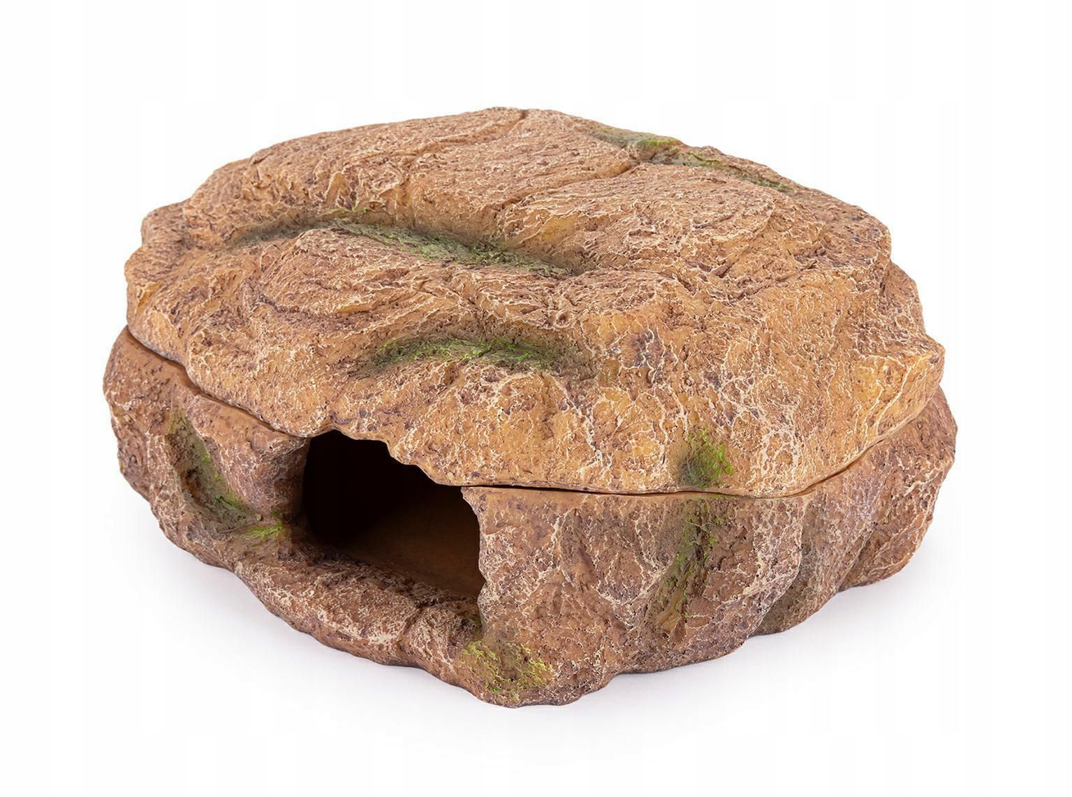  Torfmoos sphagnum moss für das terrarium rooter pflanzen roslinek 150g