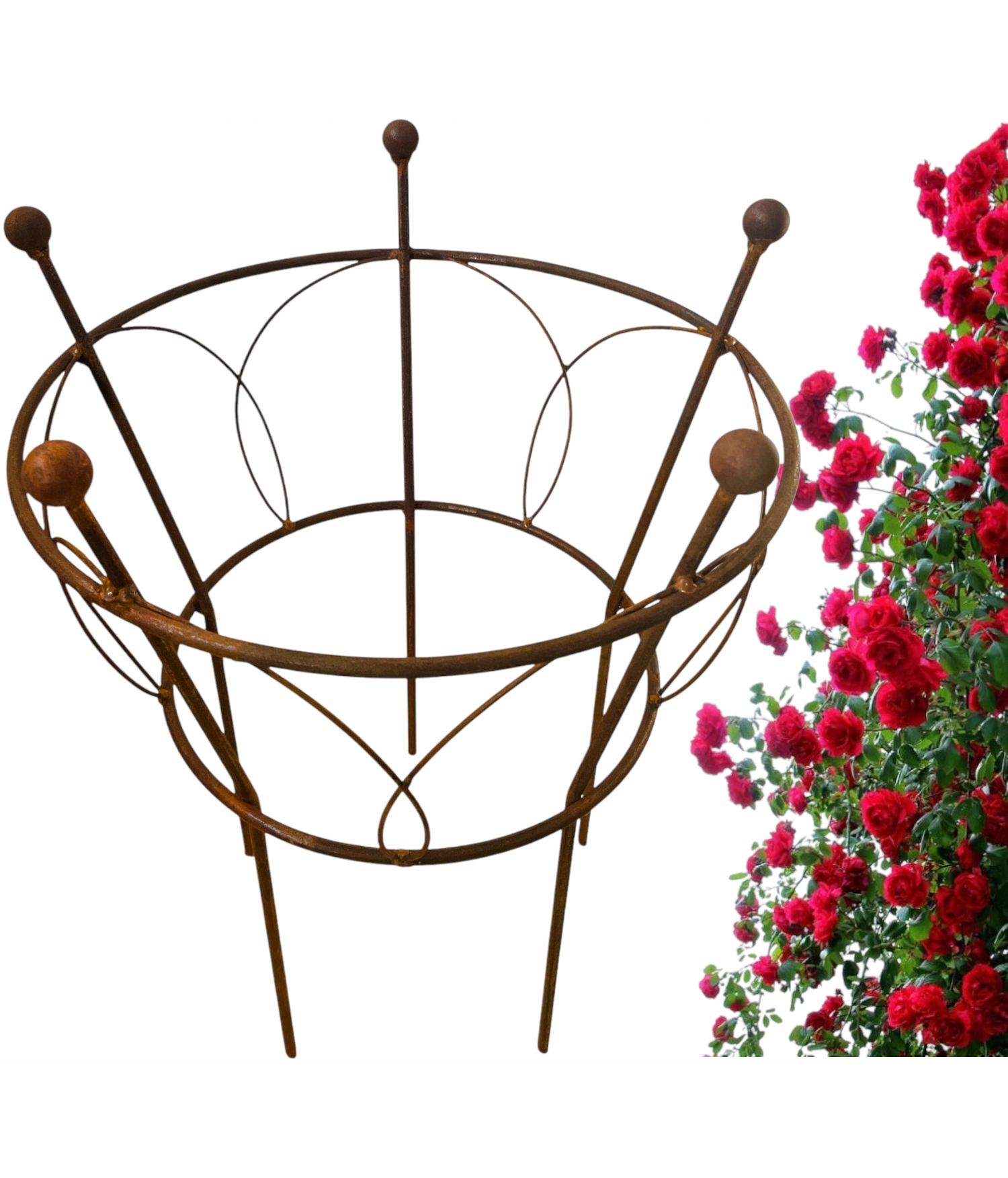  Support for bushes plants flower roses pergola 30/50cm single-seater semicircular
