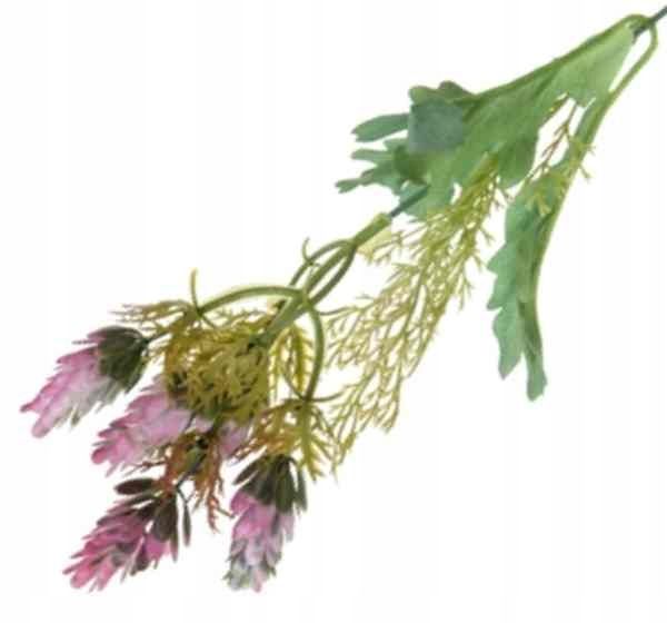  Rukola šakelė puošni į bukietu tanki žolė violet