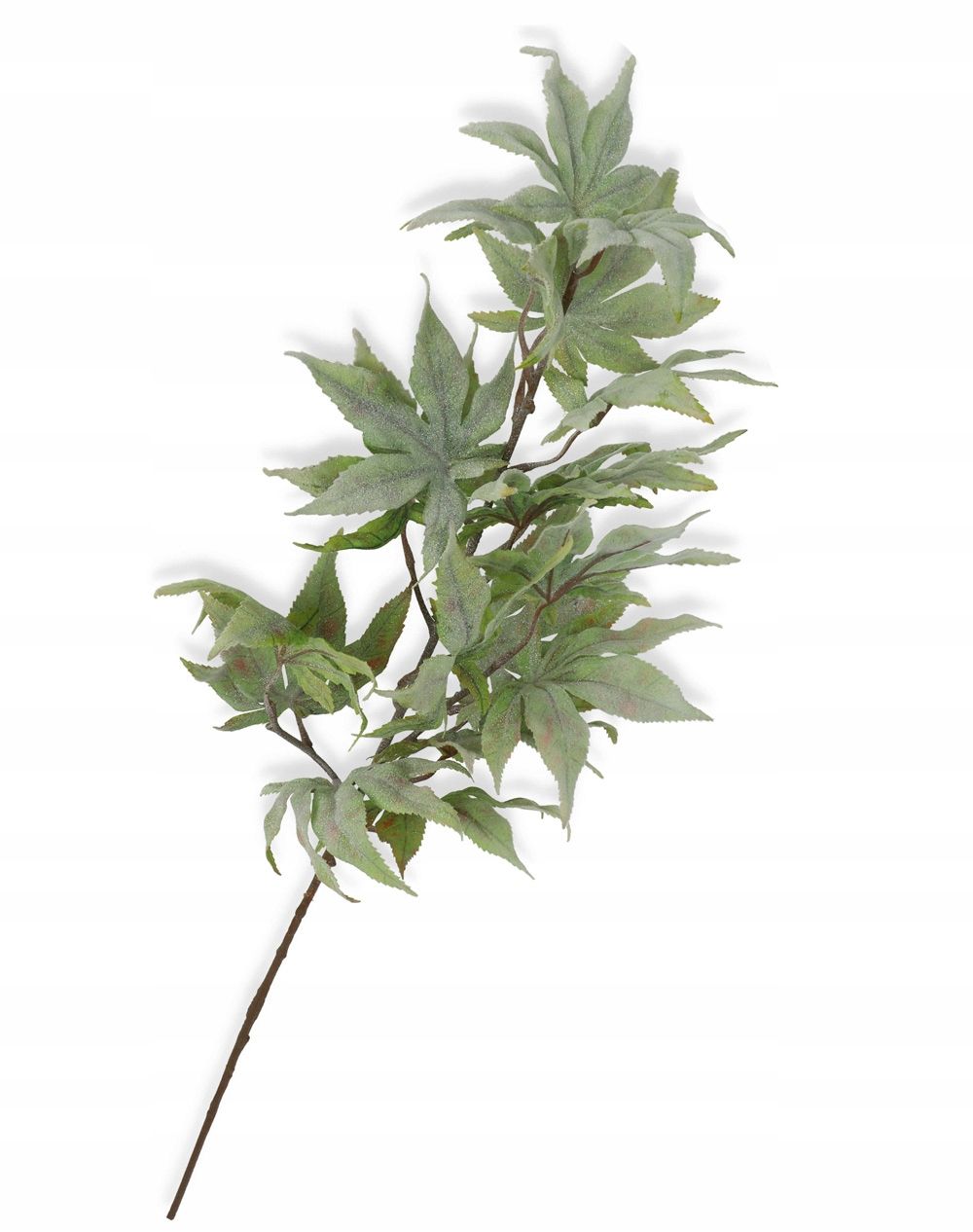  Garlic twig with eucalyptus appendix for bouquets compositions