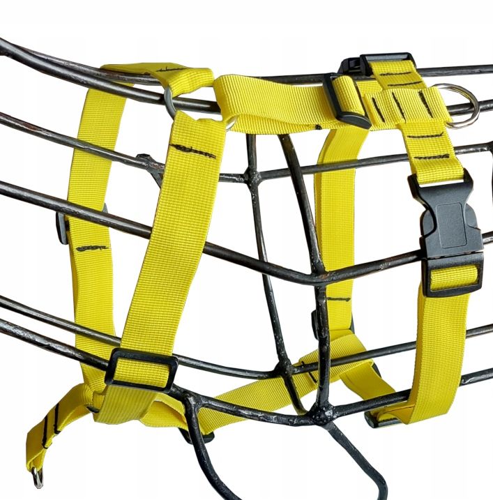  Traksid guard sunka basic koera jaoks l-xl