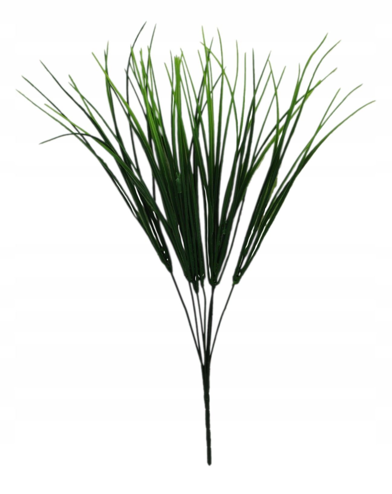  Zāle krāšņs blīvs zars 60 cm, 12 datoriem.