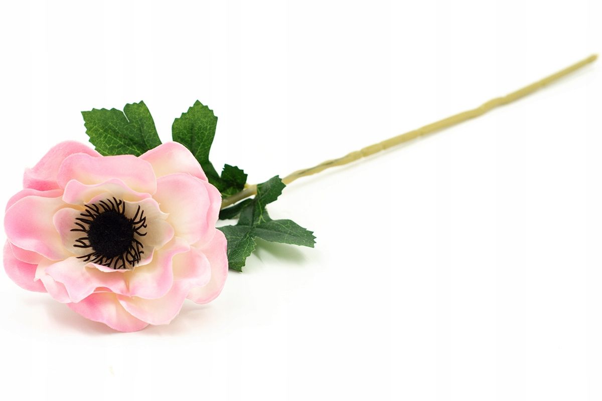  Zweig gipsowki bündeln kleine blumen in krone anhang zur krone premium