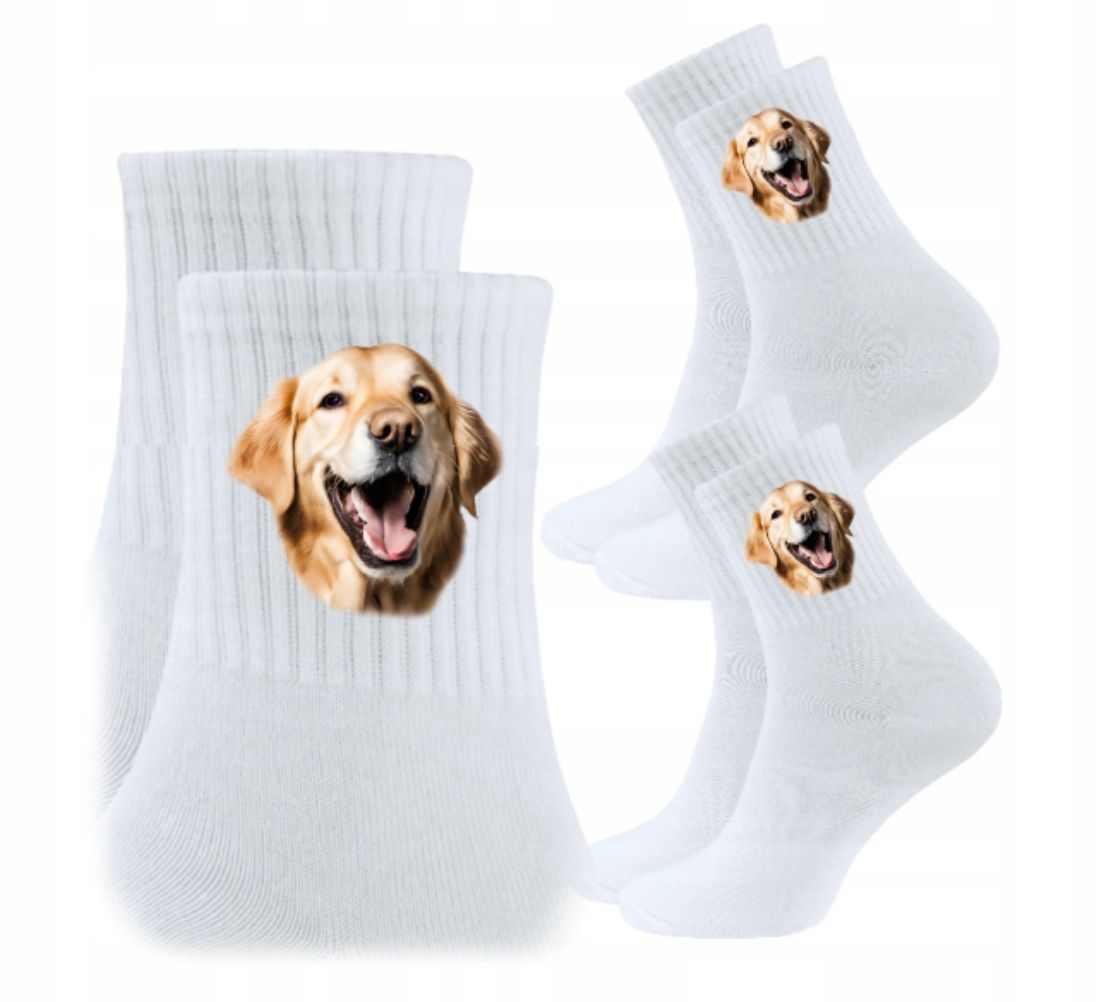  3x socken psiak hund hündchen hunde geschenk - york yorkshire