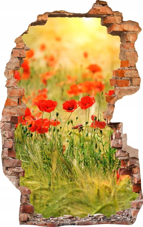  Sienas uzlīmes foto tapetes caurums 688 daba