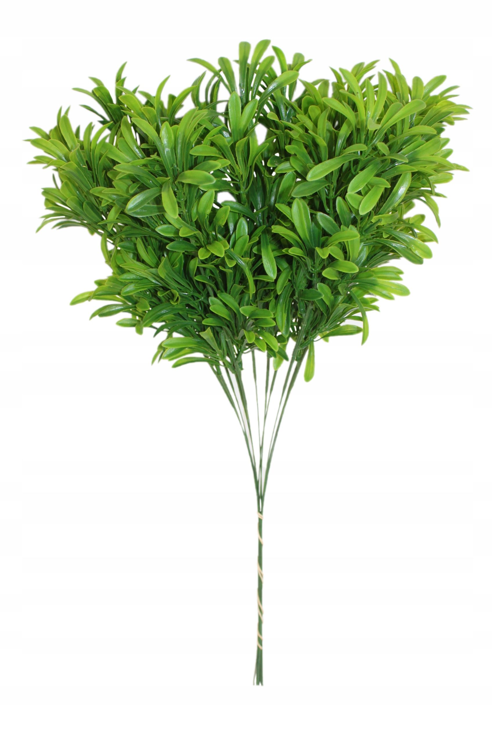  Zāle krāšņs blīvs zars 60 cm, 12 datoriem.