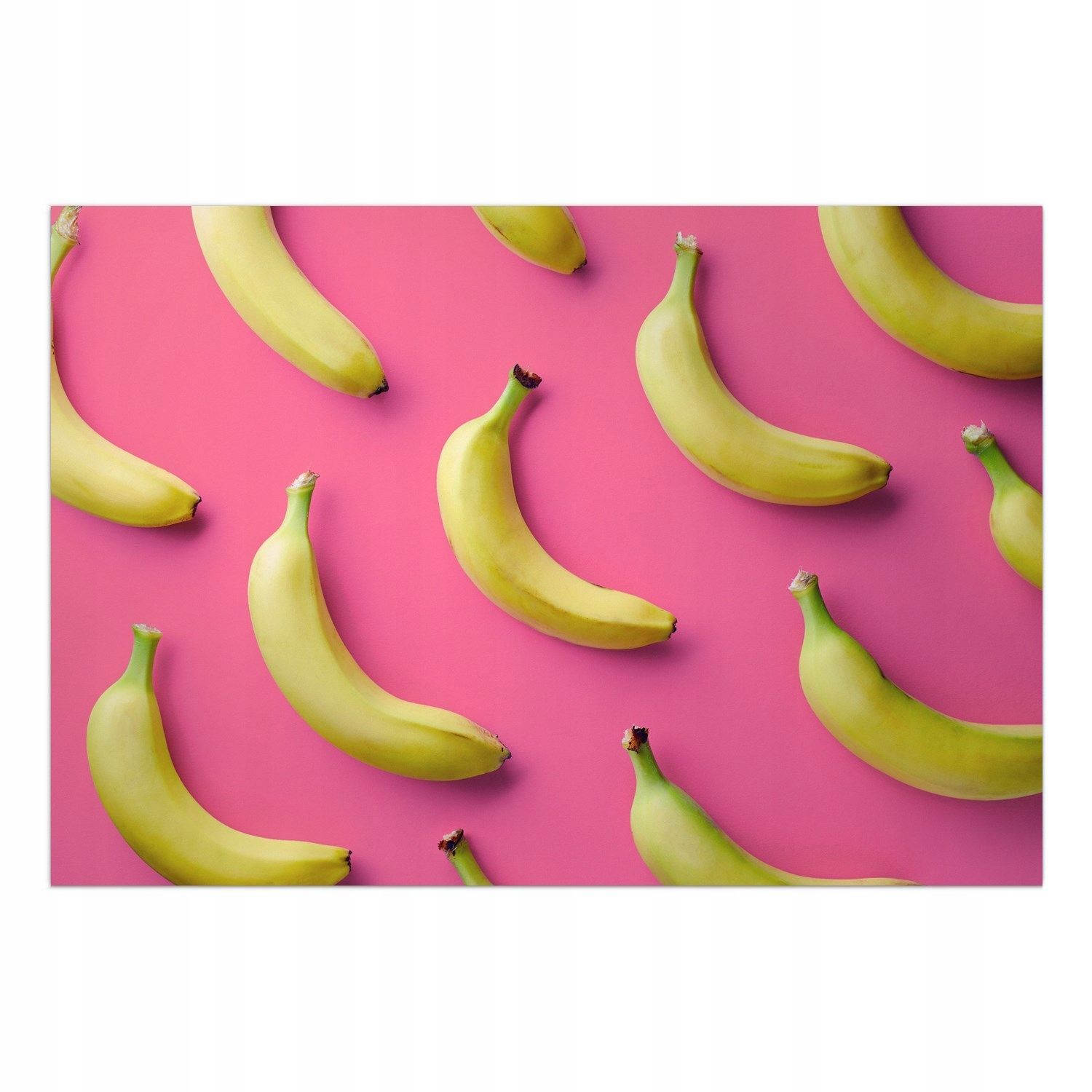  Mat on the floor vinyl modern fence 150x100 cm