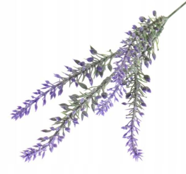  Rukola šakelė puošni į bukietu tanki žolė violet