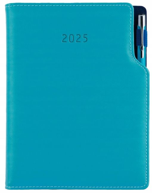  Calendar 2025 vip books days with a pen a5, work calendar, planner