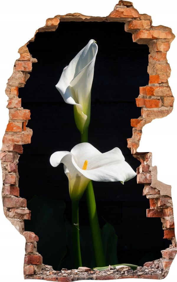  Sienas uzlīmes foto tapetes caurums 688 daba