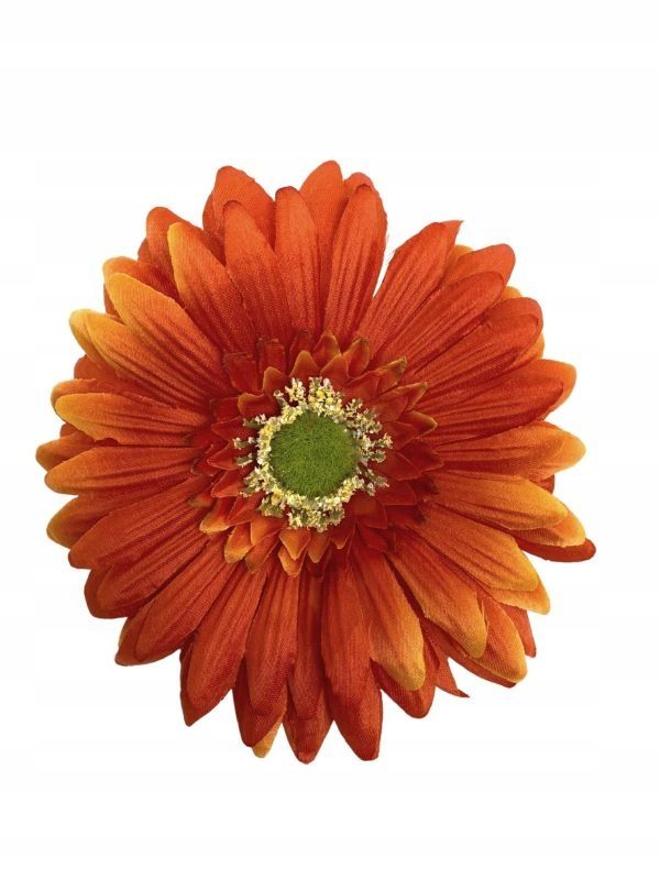  Gerbera lielu galva 16 cm lillā