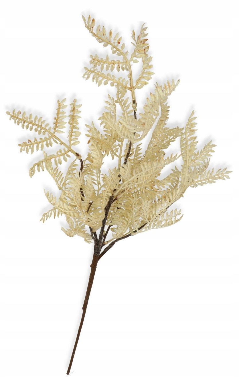  Garlic twig with eucalyptus appendix for bouquets compositions