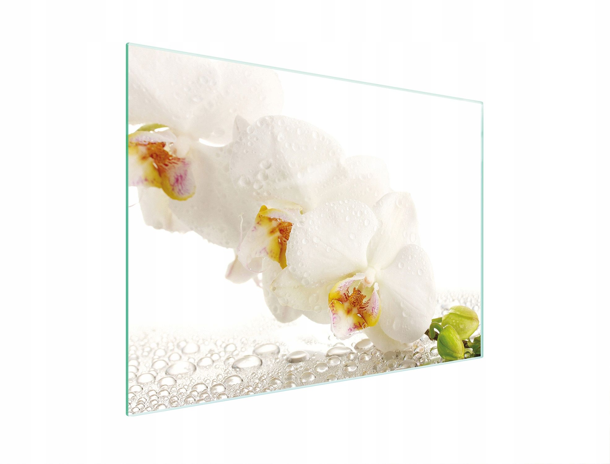  Stiklas pjaustymo lentelė 52x30 orchidėja grūdintas stiklas