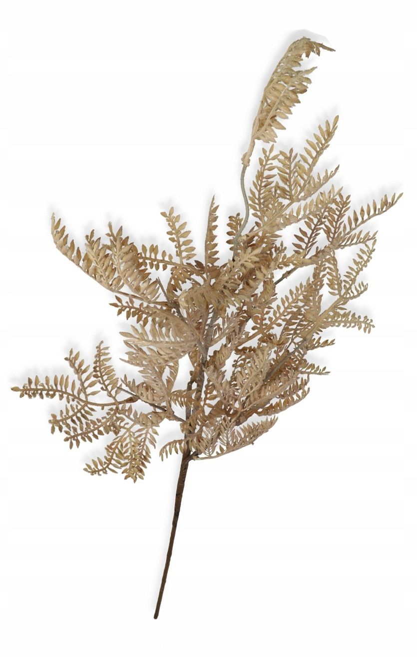  Garlic twig with eucalyptus appendix for bouquets compositions