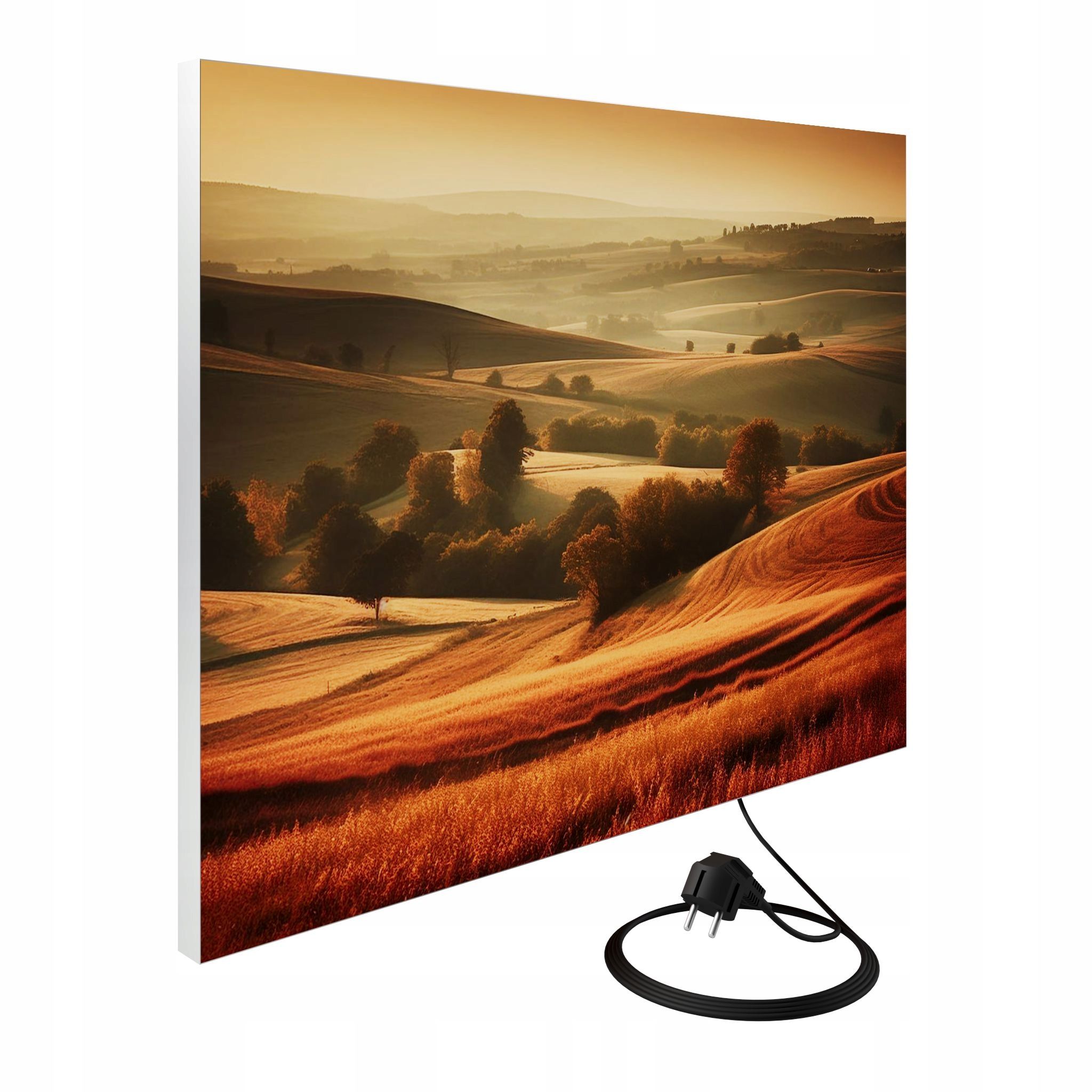  Sienas panelis ar led apgaismojumu 46 cm x 75 cm sēnes