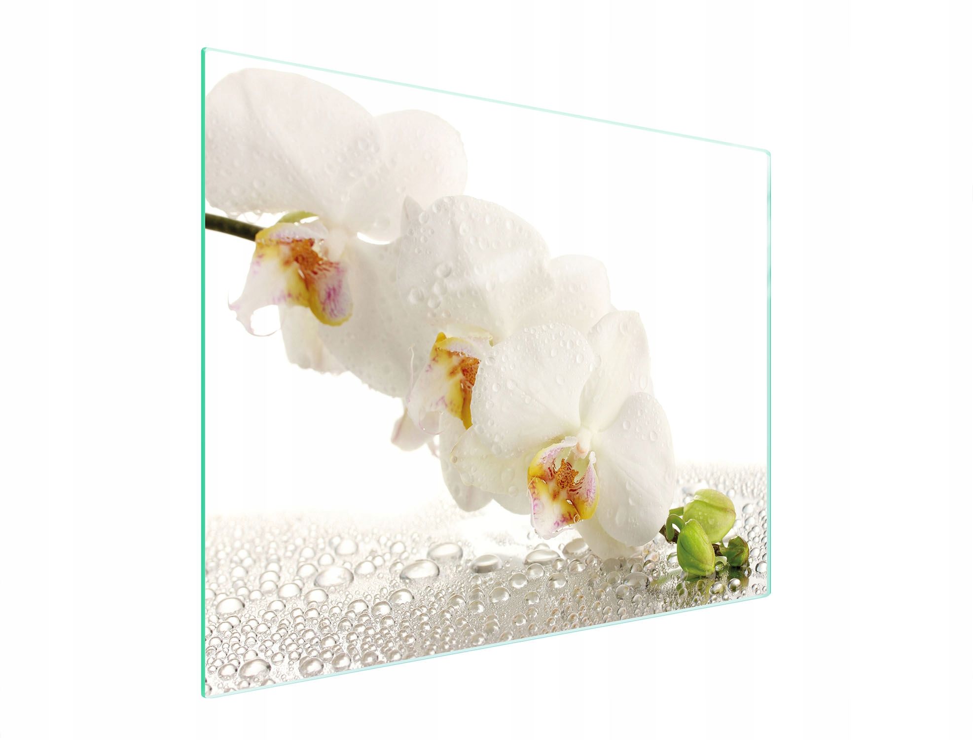  Stiklas pjaustymo lentelė 52x30 orchidėja grūdintas stiklas