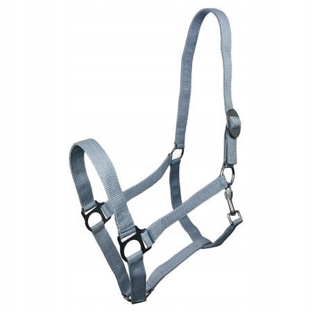  Canter york harmony dark blue cob