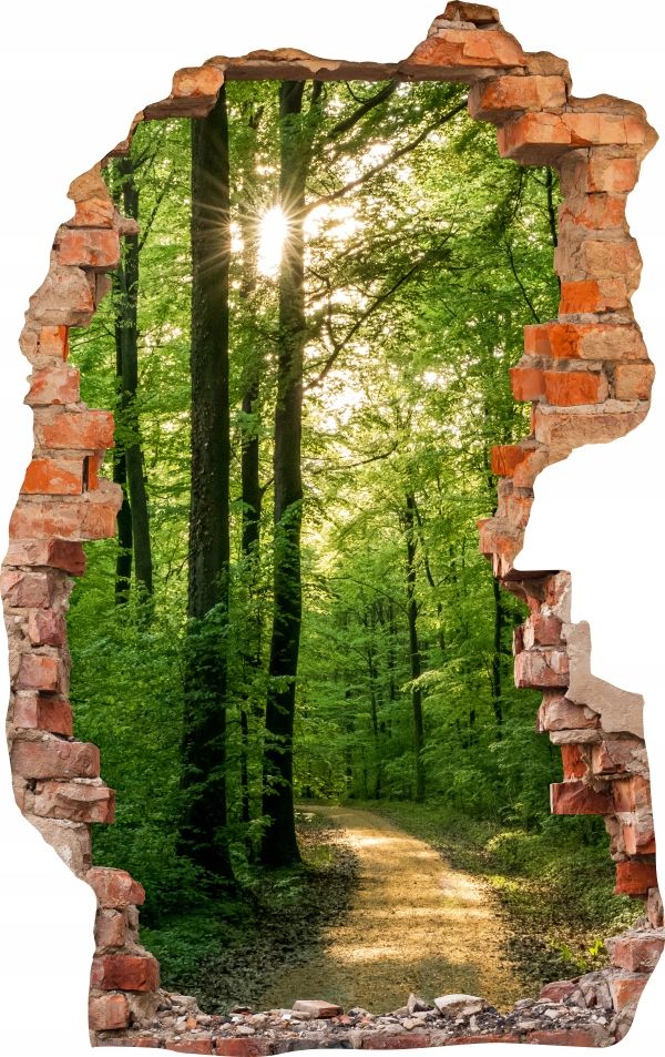  Sienas uzlīmes foto tapetes caurums 688 daba
