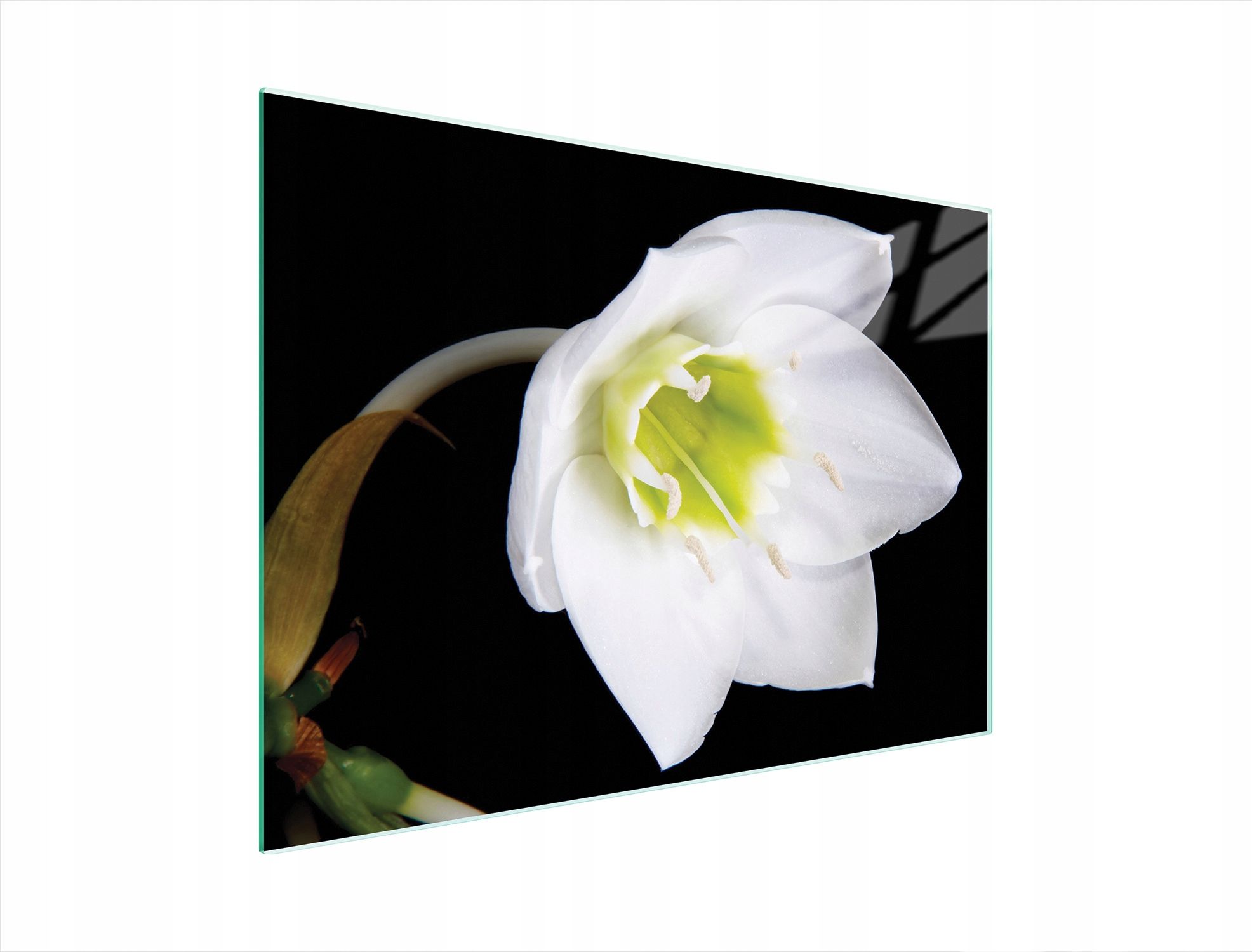  Stiklas pjaustymo lentelė 52x30 orchidėja grūdintas stiklas