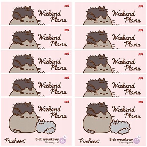  Zīmēšanas piezīmju grāmatiņa a4 balts 20k kaķis pusheen skolai st. majewski - 2 datoriem.