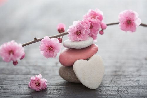  Photo wallpapers latex according to measurements cherry blossoms