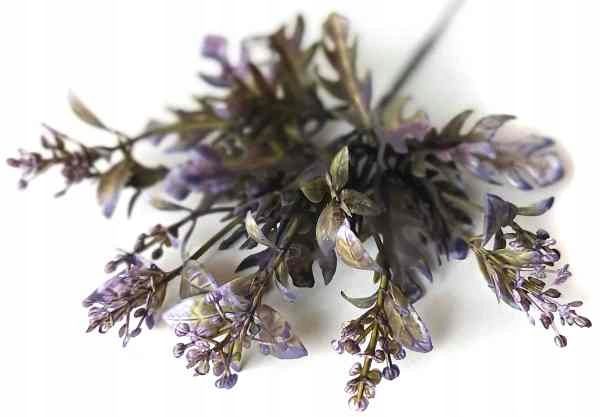  Rukola šakelė puošni į bukietu tanki žolė violet