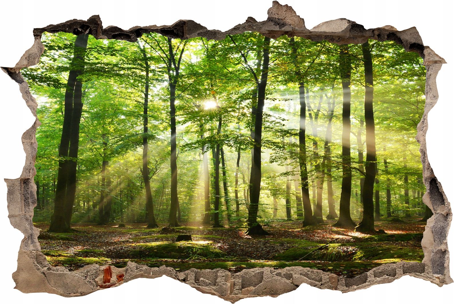  Fototapeedid auk 3d seinakleebis wodospady potok mets loodus