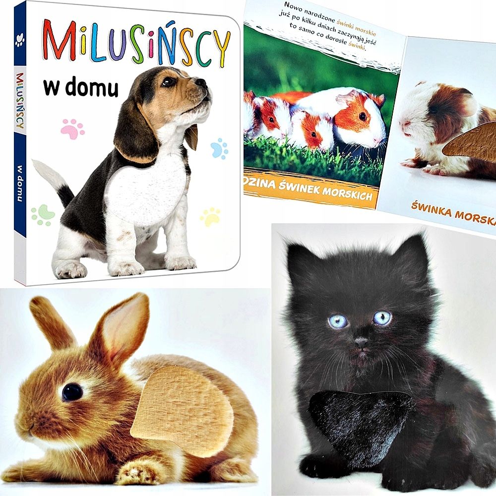  Knyga interaktyvi su 5 wesolymi žaidimai planszowymi pasaulis gyvulys ke