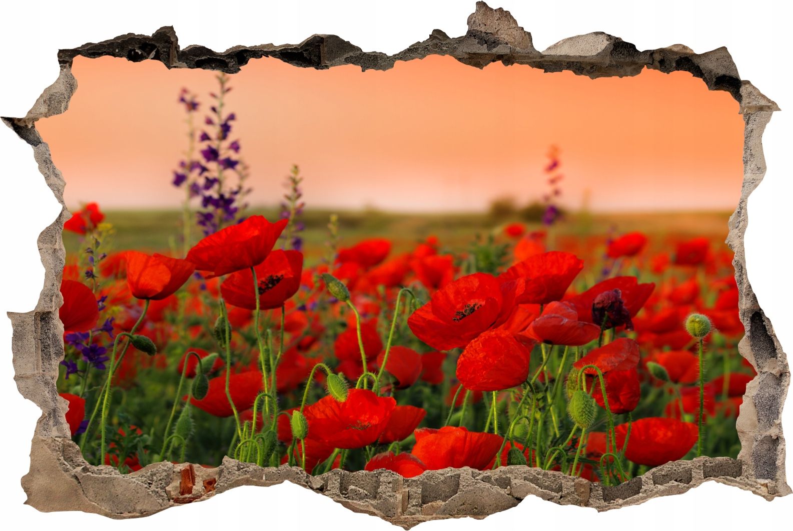  Fototapeedid auk 3d seinakleebis wodospady potok mets loodus