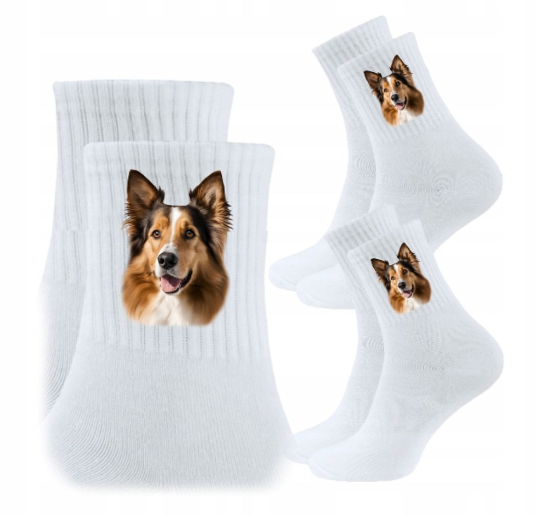 3x socken psiak hund hündchen hunde geschenk - york yorkshire