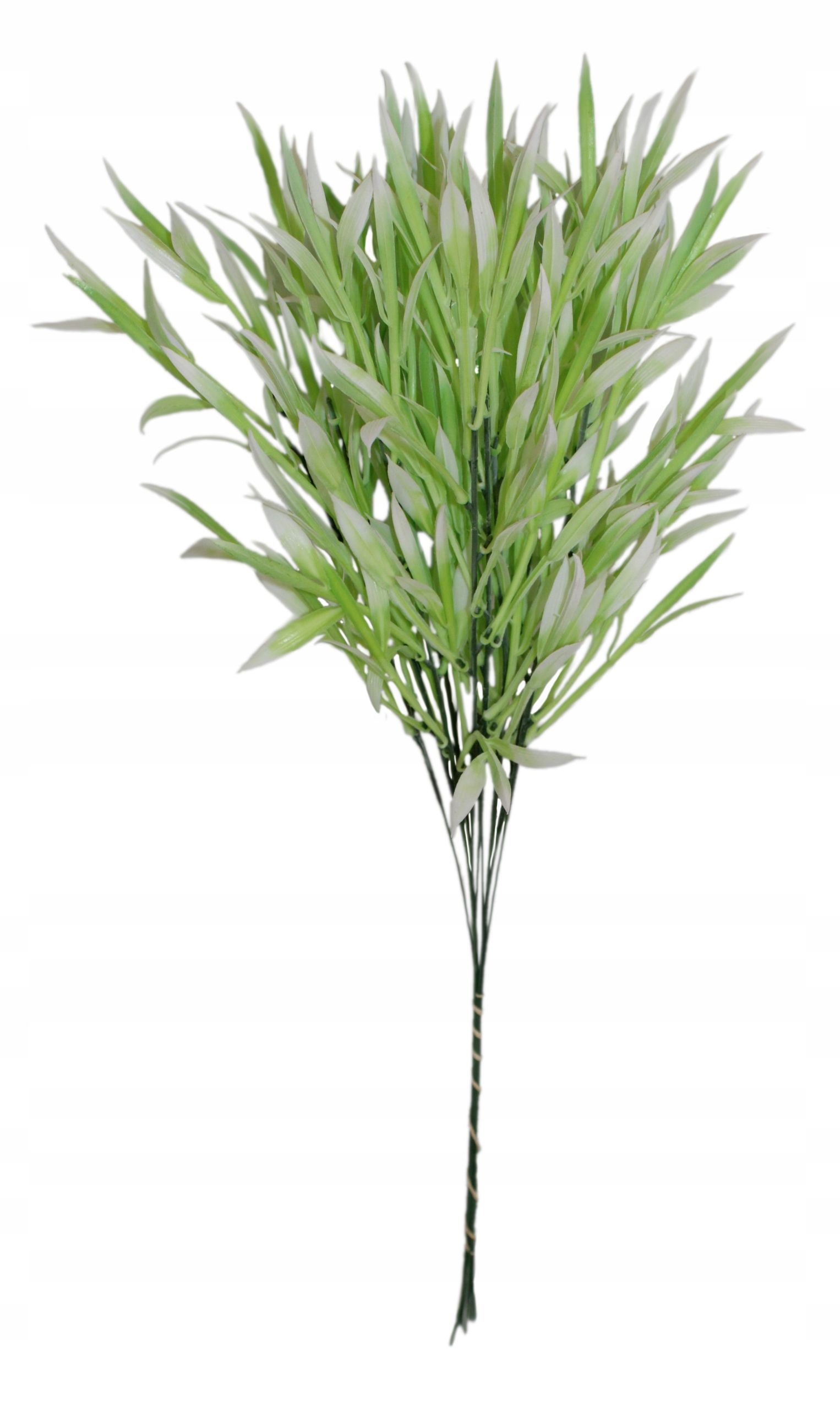  Zāle krāšņs blīvs zars 60 cm, 12 datoriem.
