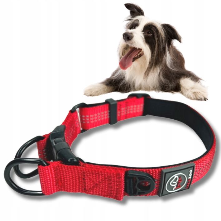  Obojok pre psa pevný rico 40-50cm reflektor tandem ring tyrkys - l