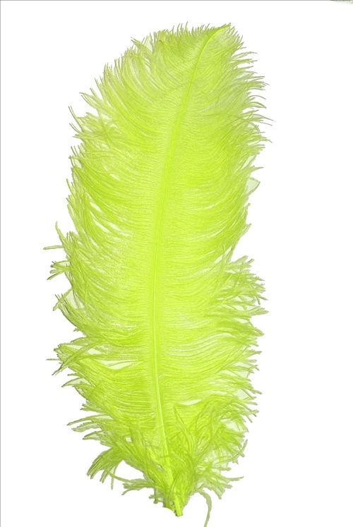  Federn strauß größe licht preis für 1sz 50cm federkiel feder 9446