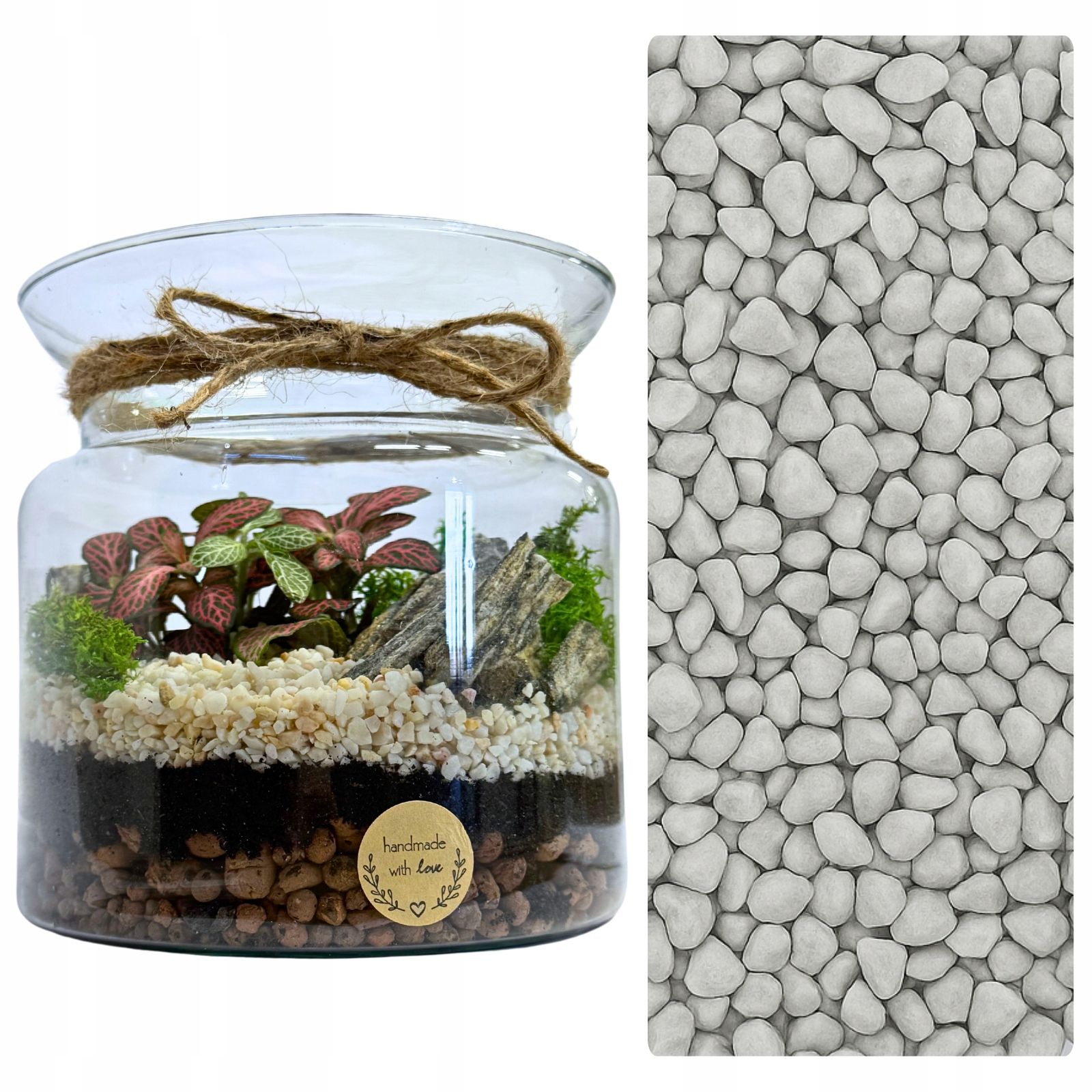  Moss chrobotek light green to the forest in a glass jar in glass decoration 10g