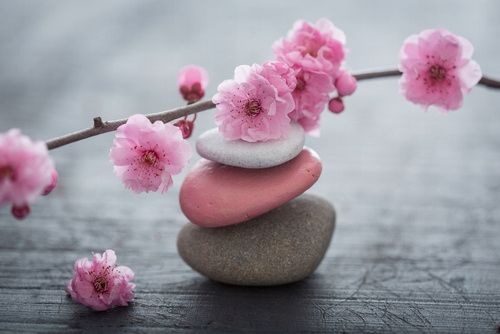  Photo wallpapers latex according to measurements cherry blossoms