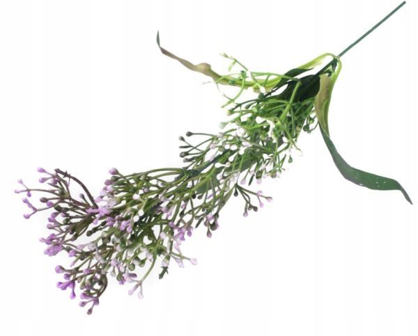  Rukola šakelė puošni į bukietu tanki žolė violet