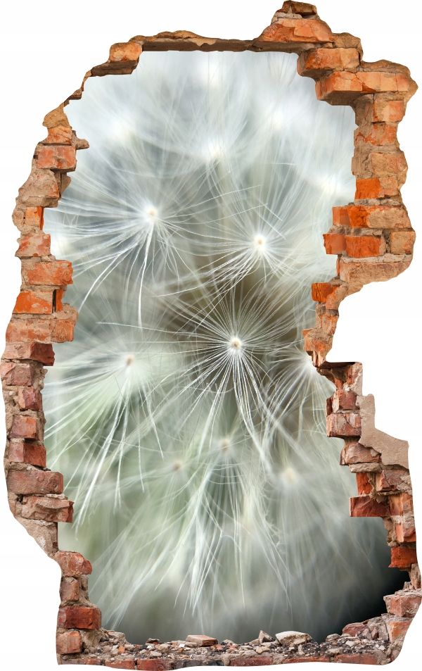  Sienas uzlīmes foto tapetes caurums 688 daba
