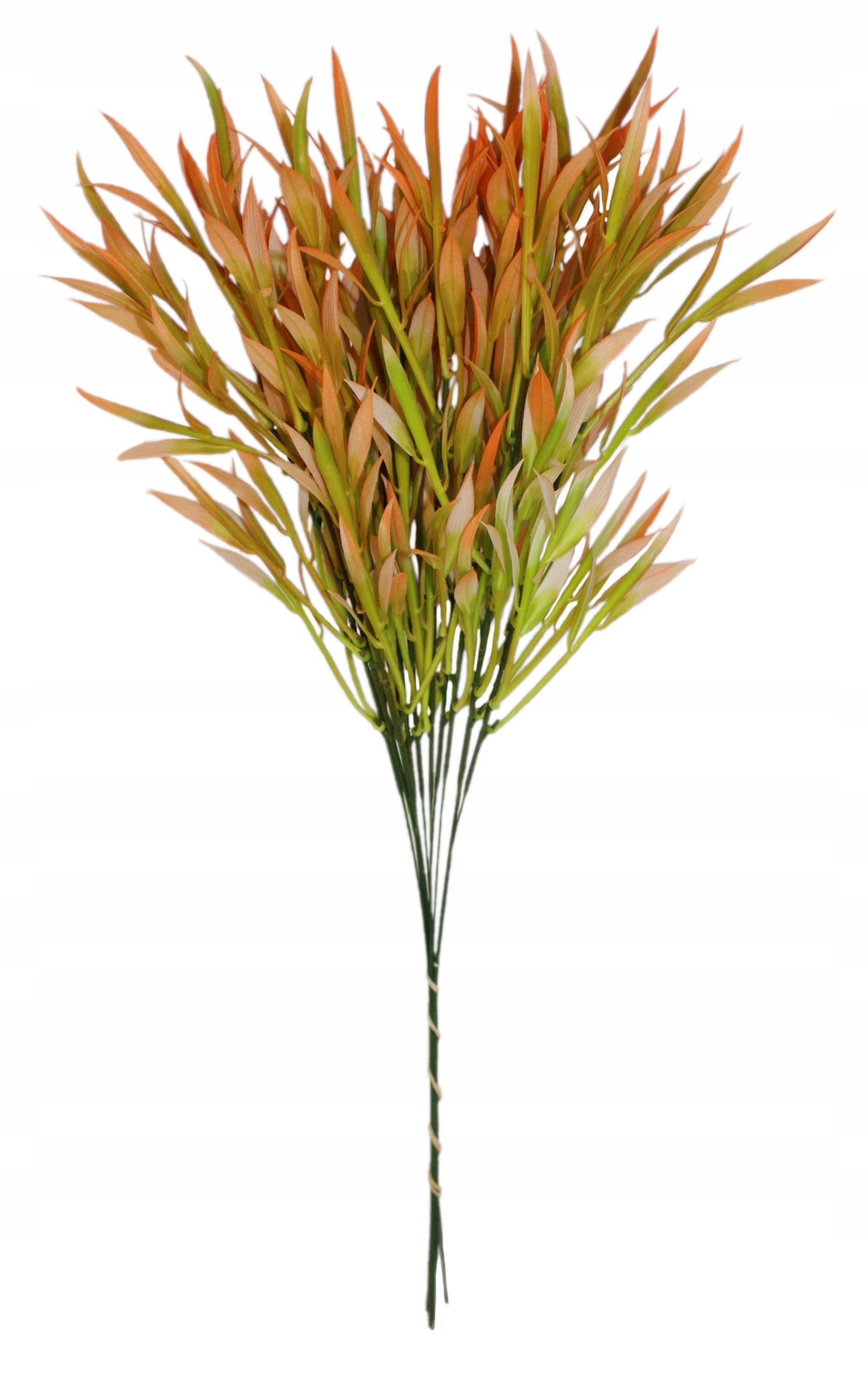  Zāle krāšņs blīvs zars 60 cm, 12 datoriem.