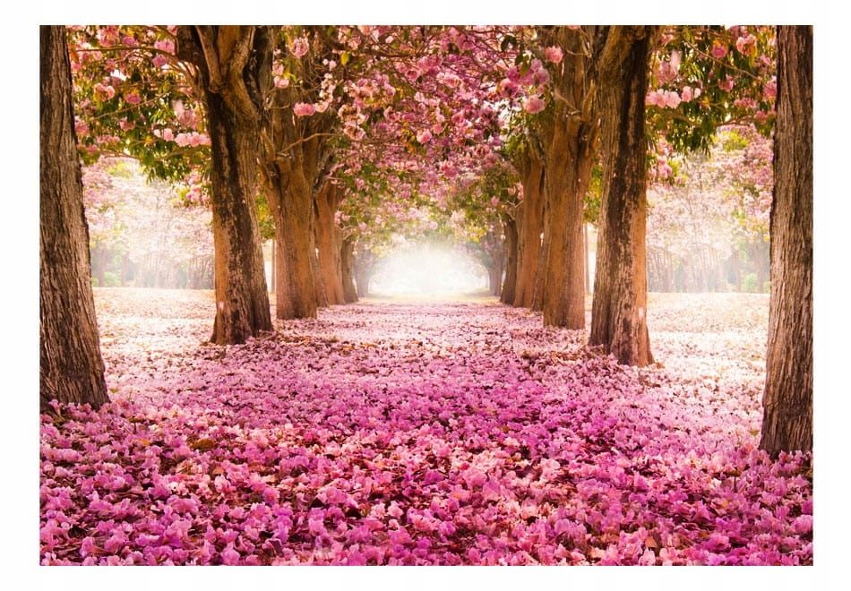  Photo wallpapers - uscisk trees - 150x105