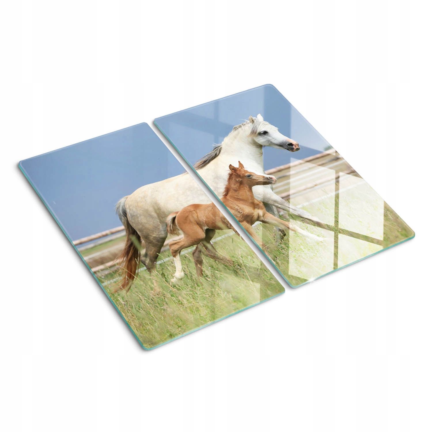  Cutting table glass painting prickly pear 2x30x52 cm