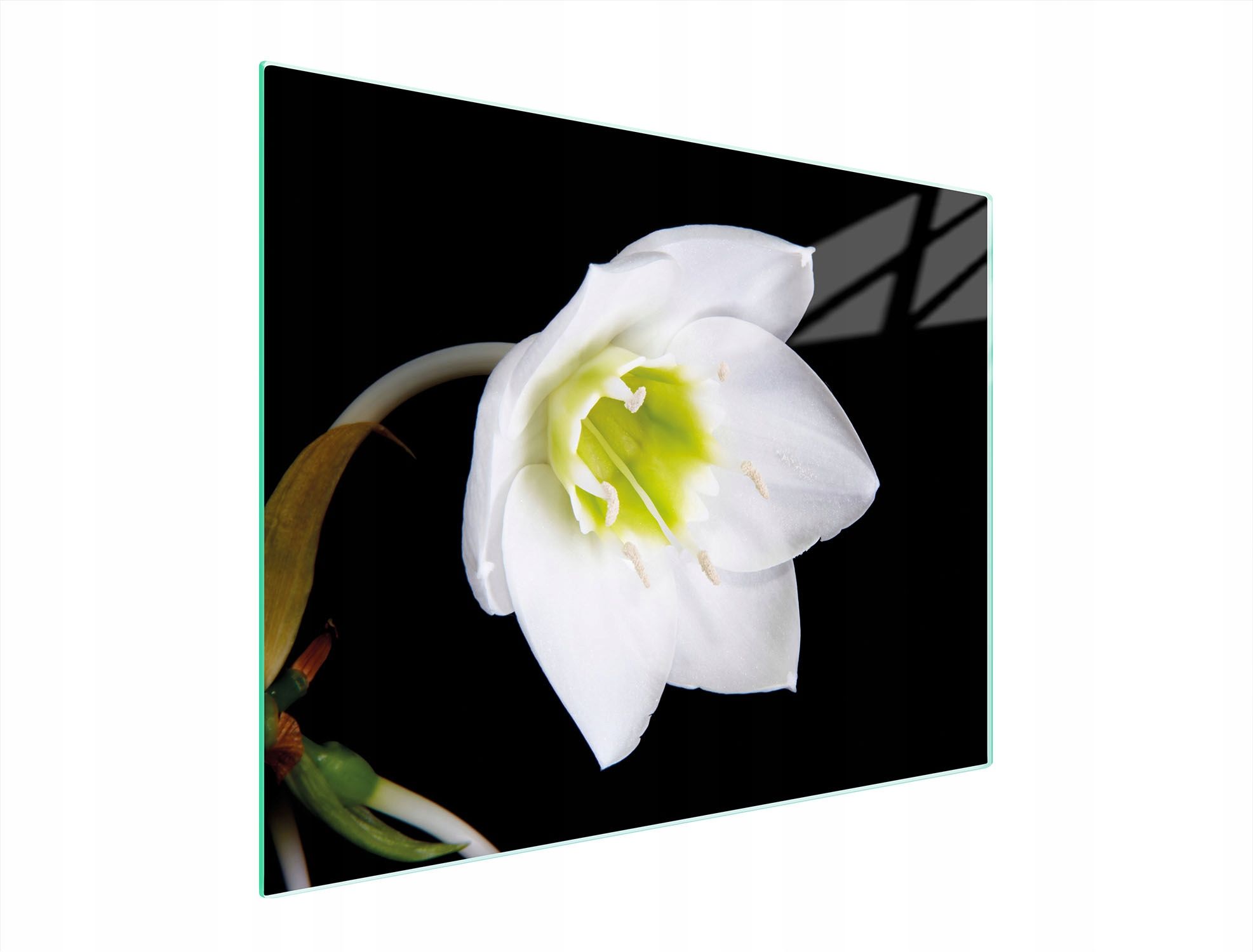  Stiklas pjaustymo lentelė 52x30 orchidėja grūdintas stiklas